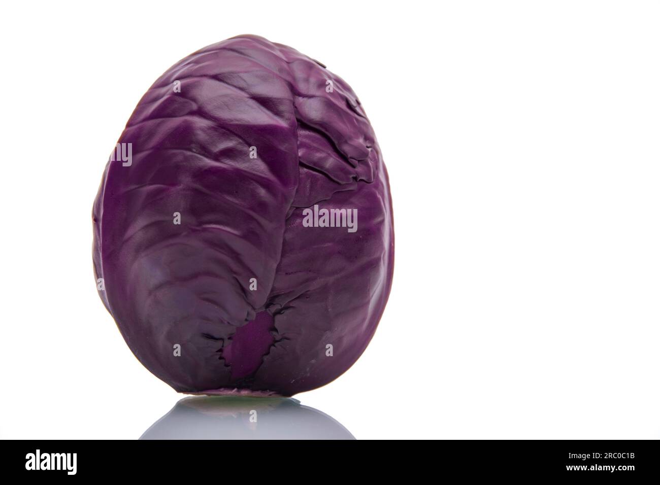 Cavolo rosso su sfondo bianco isolato Foto Stock