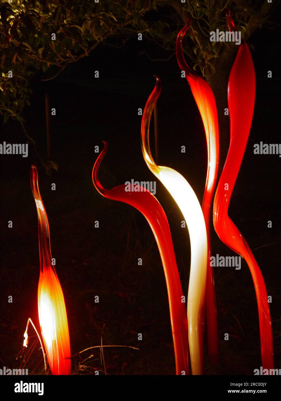 Cattails and Copper Birch Reeds, 2015, di Dale Chihuly, illuminano la passeggiata dei ciliegi ai Kew Gardens come parte della mostra Chihuly Nights, 2019 Foto Stock