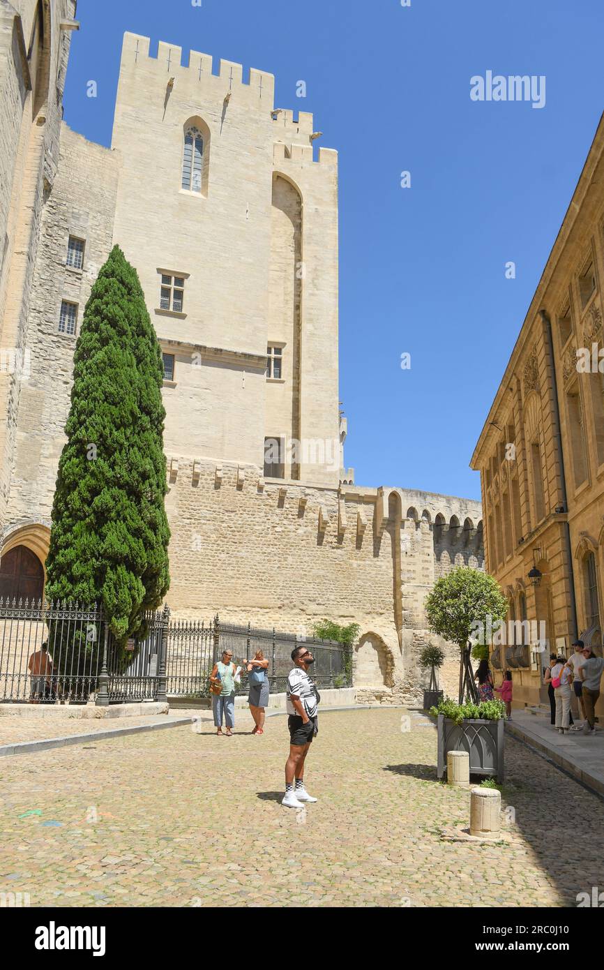 Palais des Papes Foto Stock