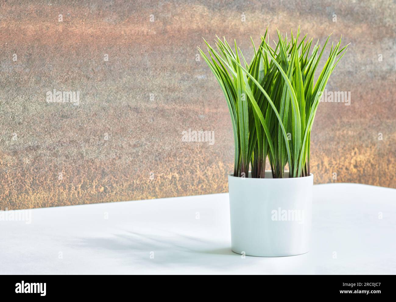 Design contemporaneo degli interni, vaso decorativo artificiale su un tavolo parziale bianco e parete decorativa marrone sfocata. Foto Stock