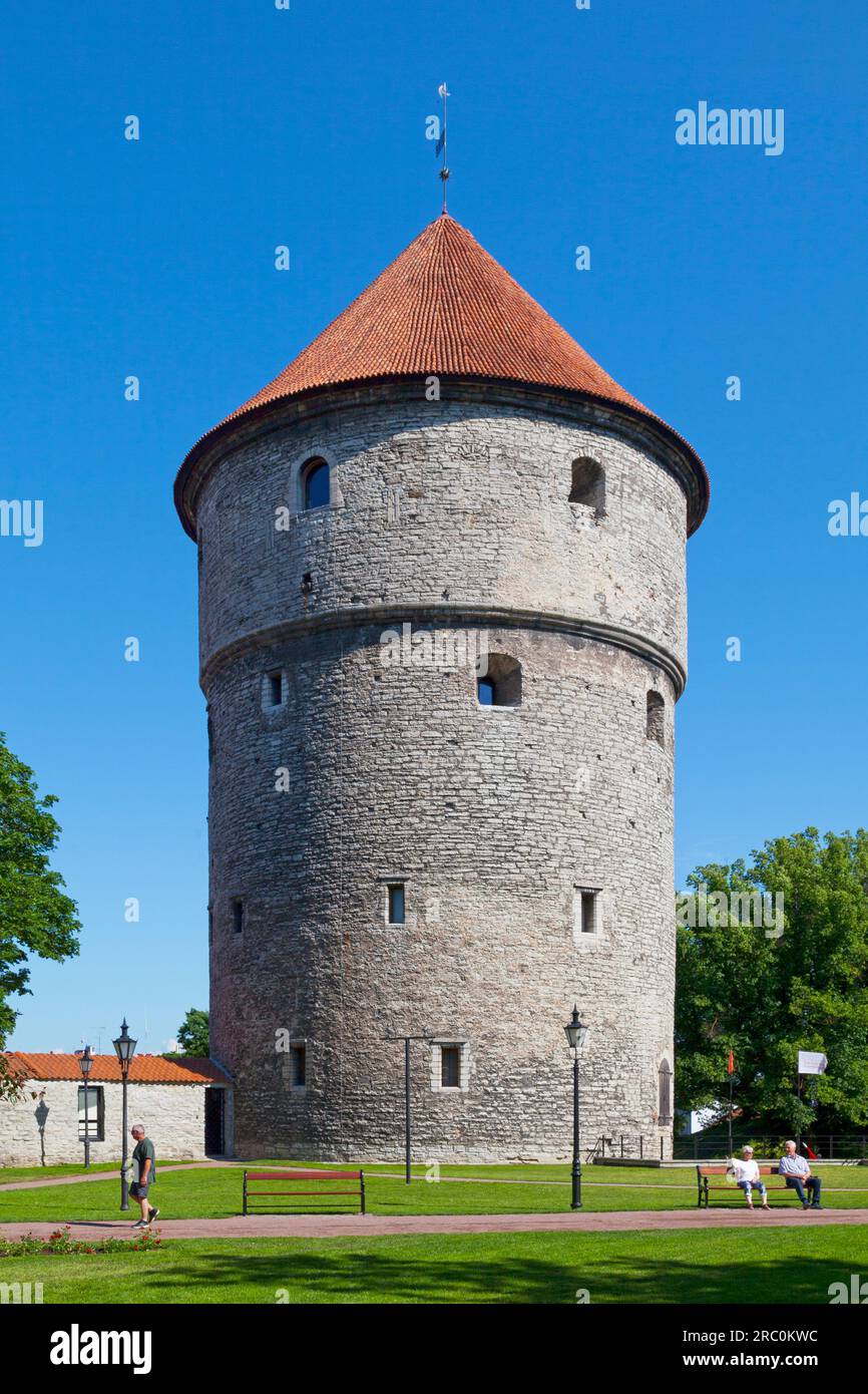 Tallinn, Estonia - 15 giugno 2019: Il Kiek in de Kök è una torre di artiglieria alta 38 m (125 ft) costruita nel 1475. Prese il nome di Kiek in de Kök dal Foto Stock