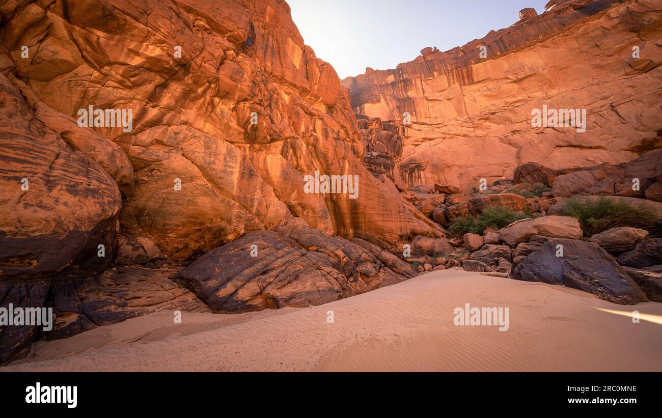 Immersi nella bellezza del deserto, le pareti del canyon arenaria arancione e gli affascinanti astratti di roccia creano un paesaggio affascinante a Guelta d'Archei Foto Stock