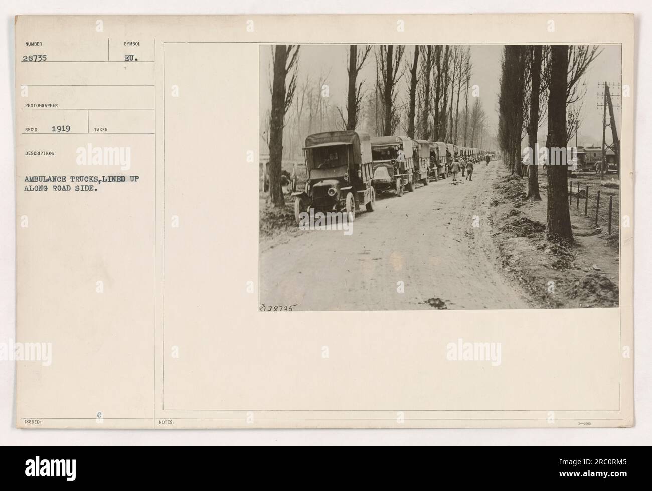 Una linea di camion di ambulanza parcheggiati lungo il lato della strada. La fotografia è stata scattata nel 1919 ed è etichettata come numero 26735 nella collezione. Il fotografo è elencato come "REC". Foto Stock