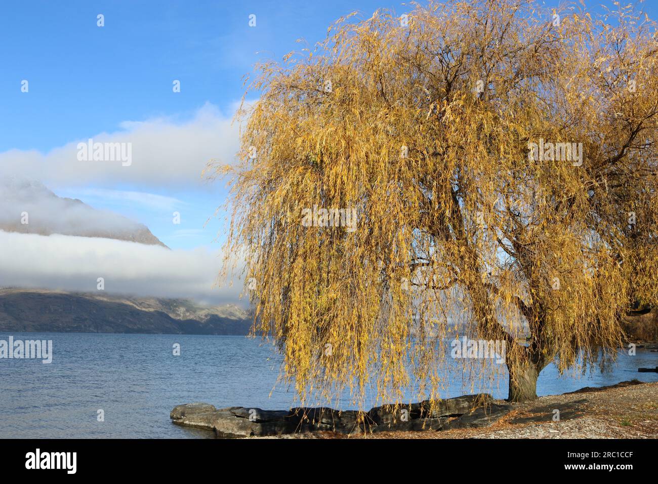 Immagini scattate nello splendido lago di Queenstown. Foto Stock