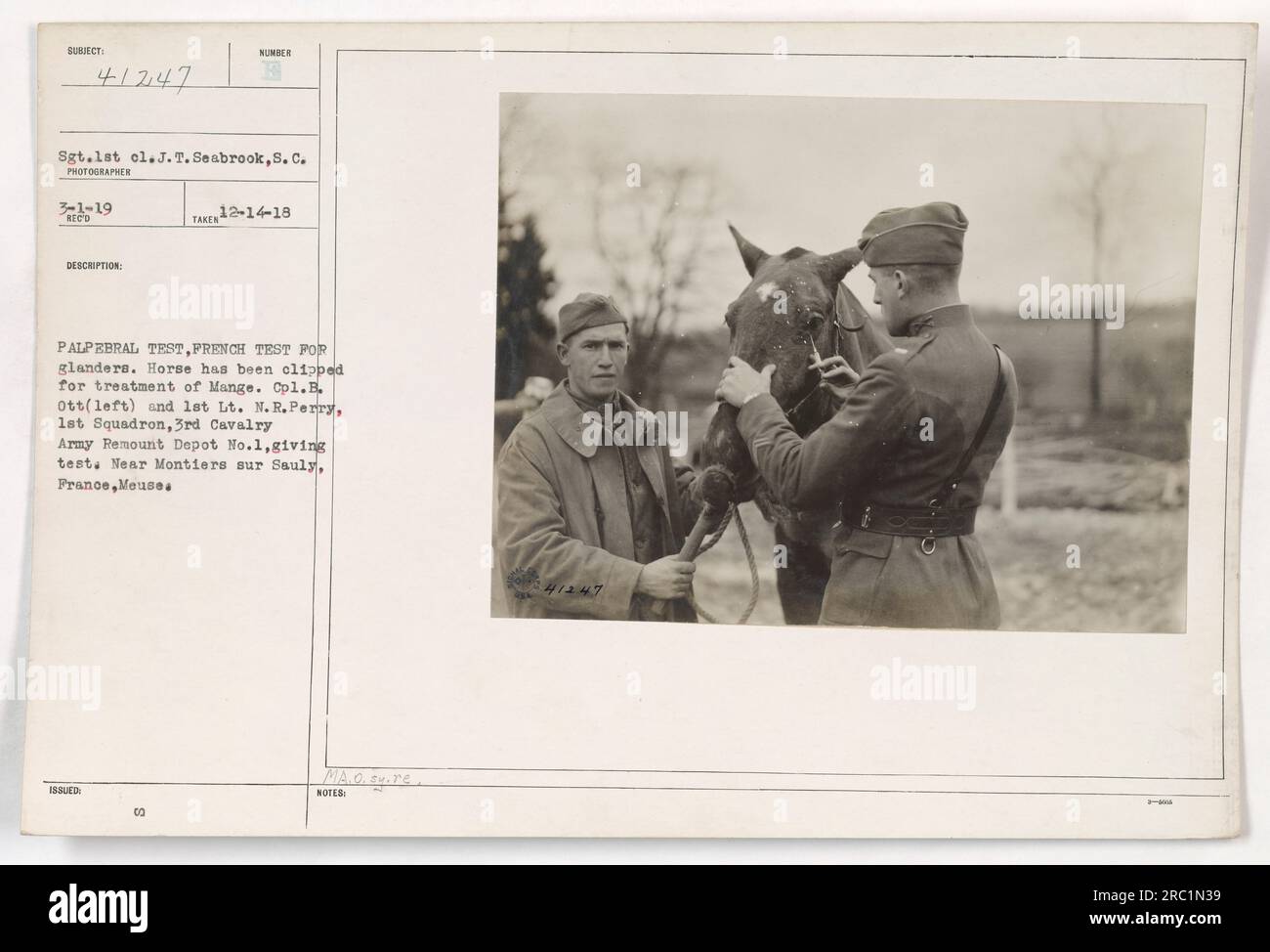 La fotografia raffigura il Sgt. 1st class J. T. Seabrook, S.C. che amministra un test palpebrale, un test francese per la morva, su un cavallo che è stato tagliato per il trattamento della manga. CPL. B. Ott (sinistra) e 1° tenente N.R. Perry del 1st Squadron, 3rd Cavalry Army Remount Depot No. 1 Assist. Presa nei pressi di Montiers sur Sauly, Meuse, Francia. Riferimento immagine: 111-SC-41247. PRESO: 3-1-19. RICEVUTO: 12-14-18. Foto Stock