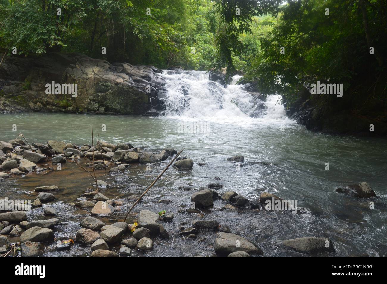fiume in montagna. meraviglioso scenario primaverile della campagna dei carpazi. acqua verde azzurra tra foresta e costa rocciosa. recinzione di legno sul fiume Foto Stock