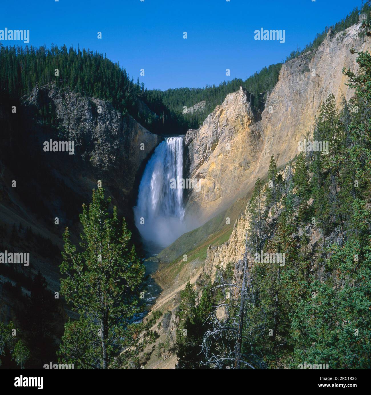 USA, Wyoming, Yellowstone NP, Lower Falls of the Yellowstone River, Yellowstone National Park Foto Stock