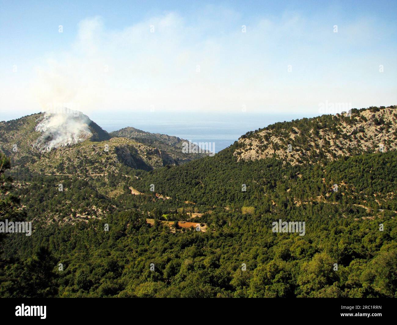 Incendio boschivo Foto Stock