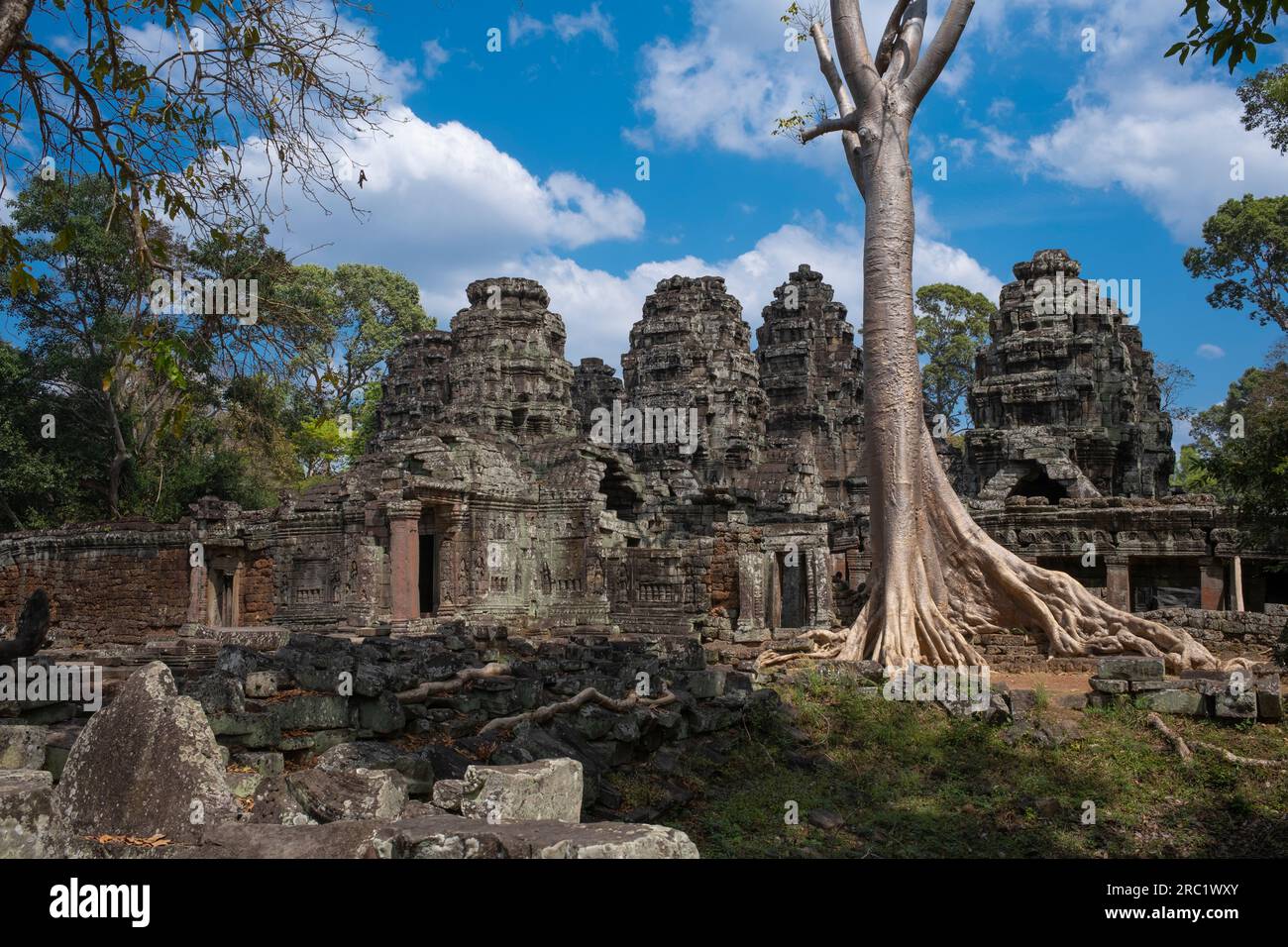 Cambogia: Alberi che crescono dalle rovine a Banteay Kdei, Angkor. Banteay Kdei si trova a sud-est di Ta Prohm e ad est di Angkor Thom. Fu costruito tra la fine degli anni '12th e i primi anni '13th durante il regno di Jayavarman VII, è un tempio buddista in stile Bayon, simile in pianta a Ta Prohm e Preah Khan, ma meno complesso e più piccolo. Foto Stock