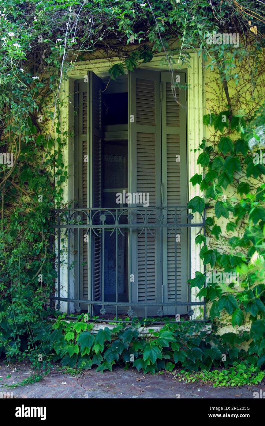 Estancia El Ombu, San Antonio de Areco, Provincia di Buenos Aires, Argentina Foto Stock