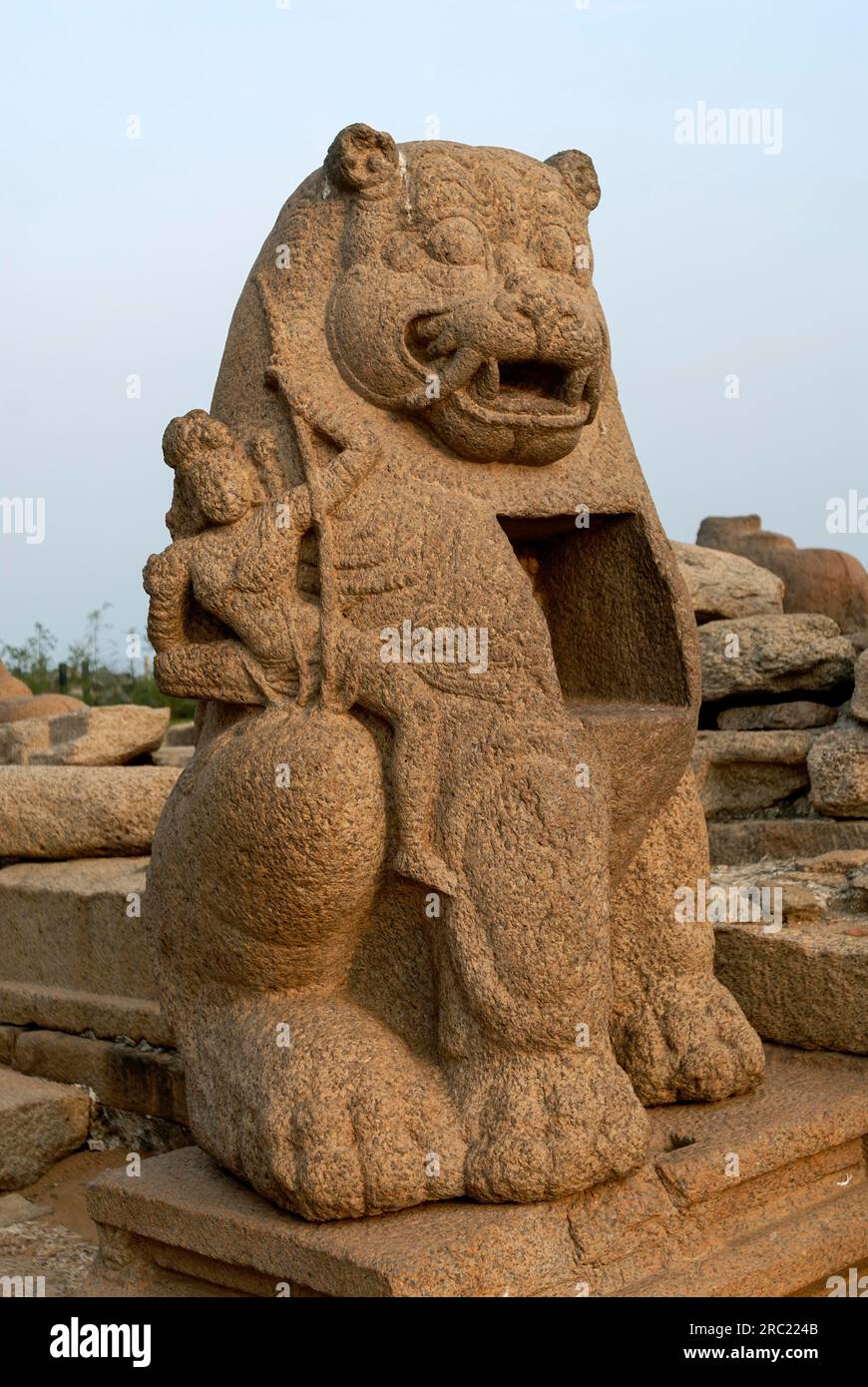 Scultura del leone nel tempio Shore a Mahabalipuram Mamallapuram vicino a Chennai, Tamil Nadu, India meridionale, Asia. Sito patrimonio dell'umanità dell'UNESCO Foto Stock