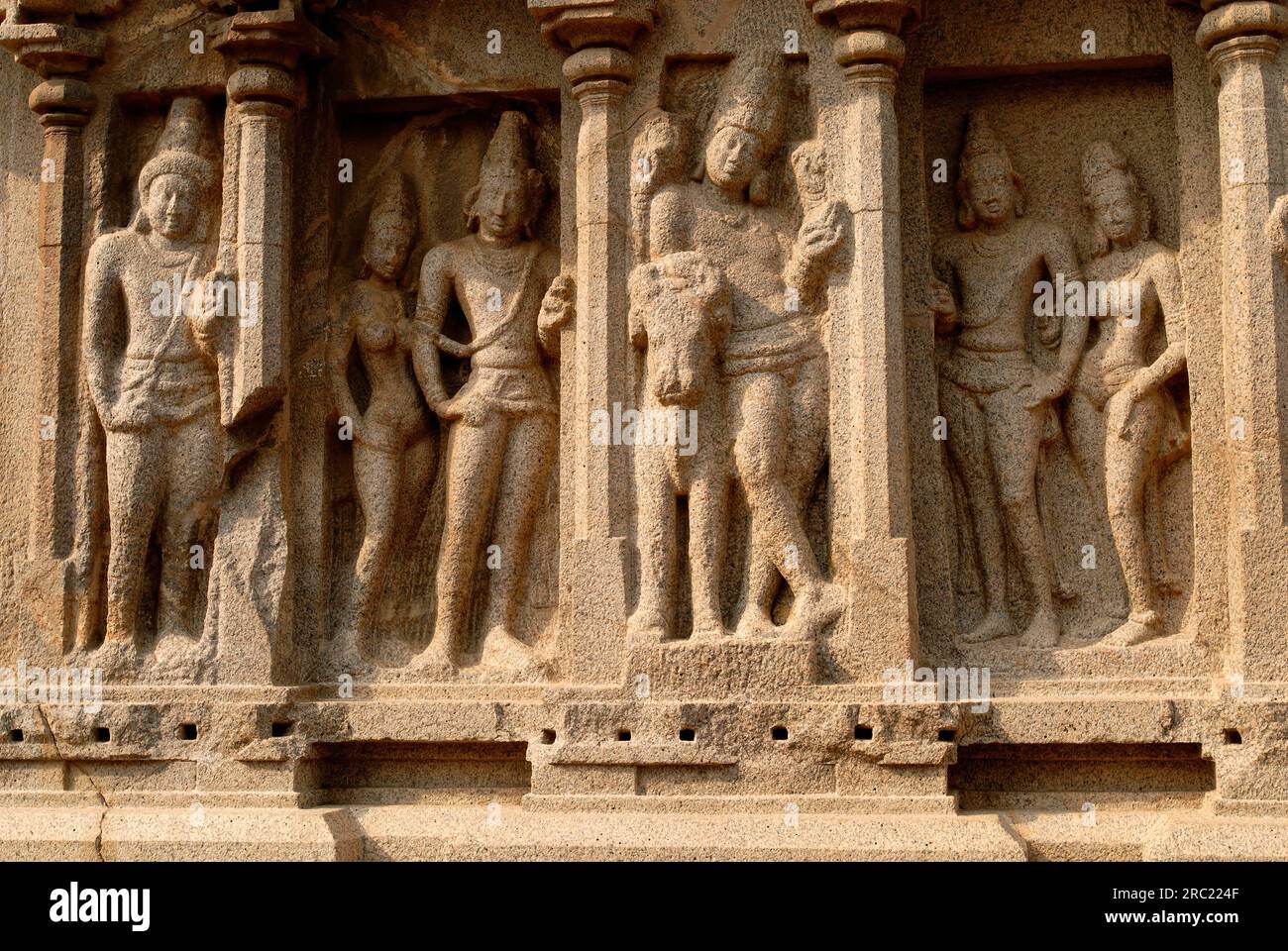 Una vista ravvicinata delle sculture sulle pareti esterne dell'Arjuna Ratha, Five Rathas, architettura monolitica scavata nella roccia risalente alla fine del VII secolo Foto Stock