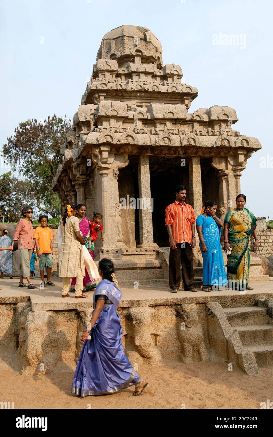 Arjuna Ratha di Five Rathas, architettura monolitica scavata nella roccia risalente alla fine del VII secolo a Mahabalipuram Mamallapuram vicino a Chennai, Tamil Foto Stock