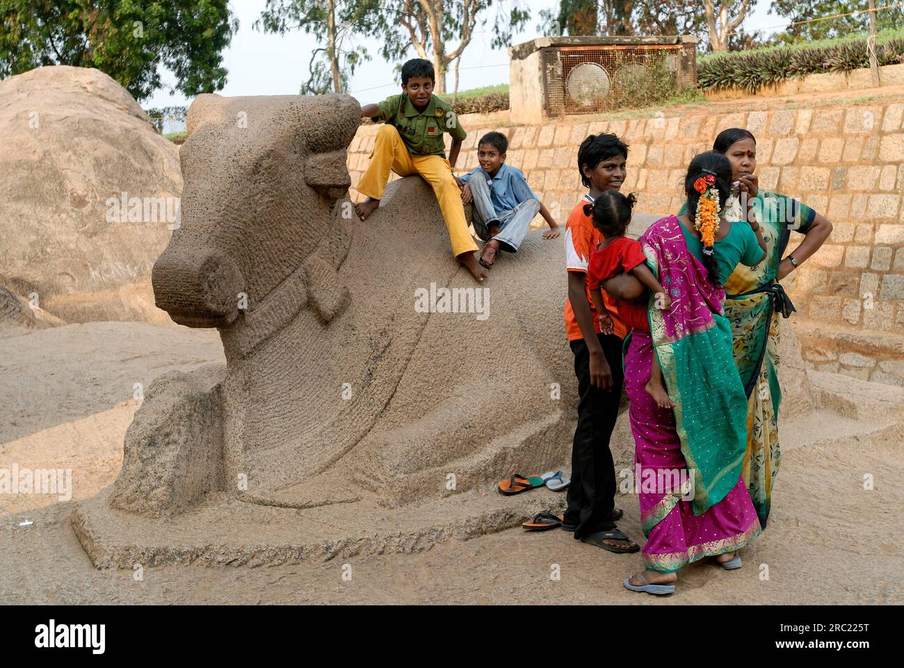 Grande Nandi in pietra di fronte al Pancha Rathas Five Rathas, architettura monolitica scavata nella roccia risalente alla fine del VII secolo a Mahabalipuram Foto Stock