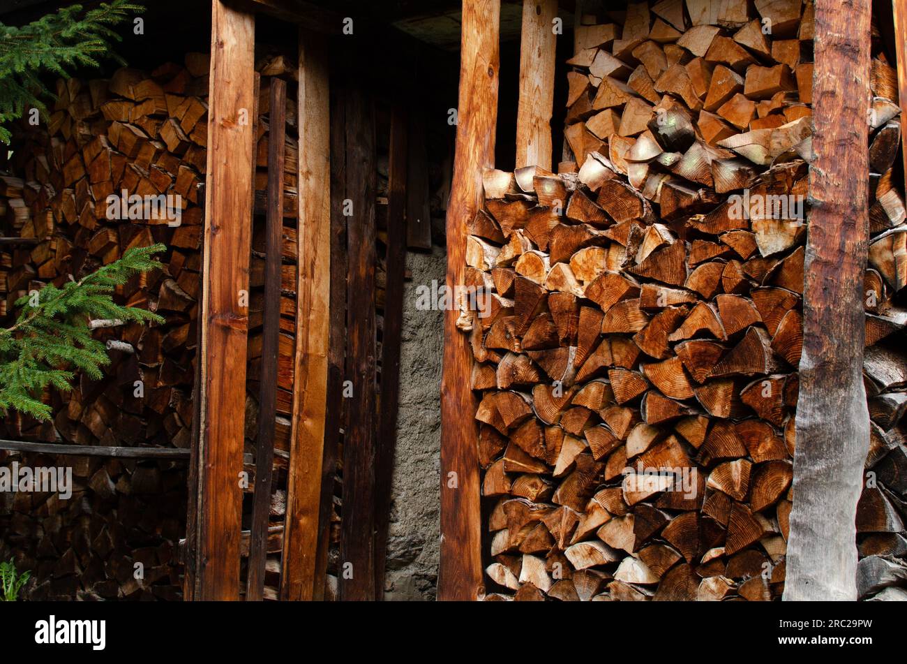 Vista ravvicinata della legna da ardere tagliata impilata nel magazzino all'aperto Foto Stock