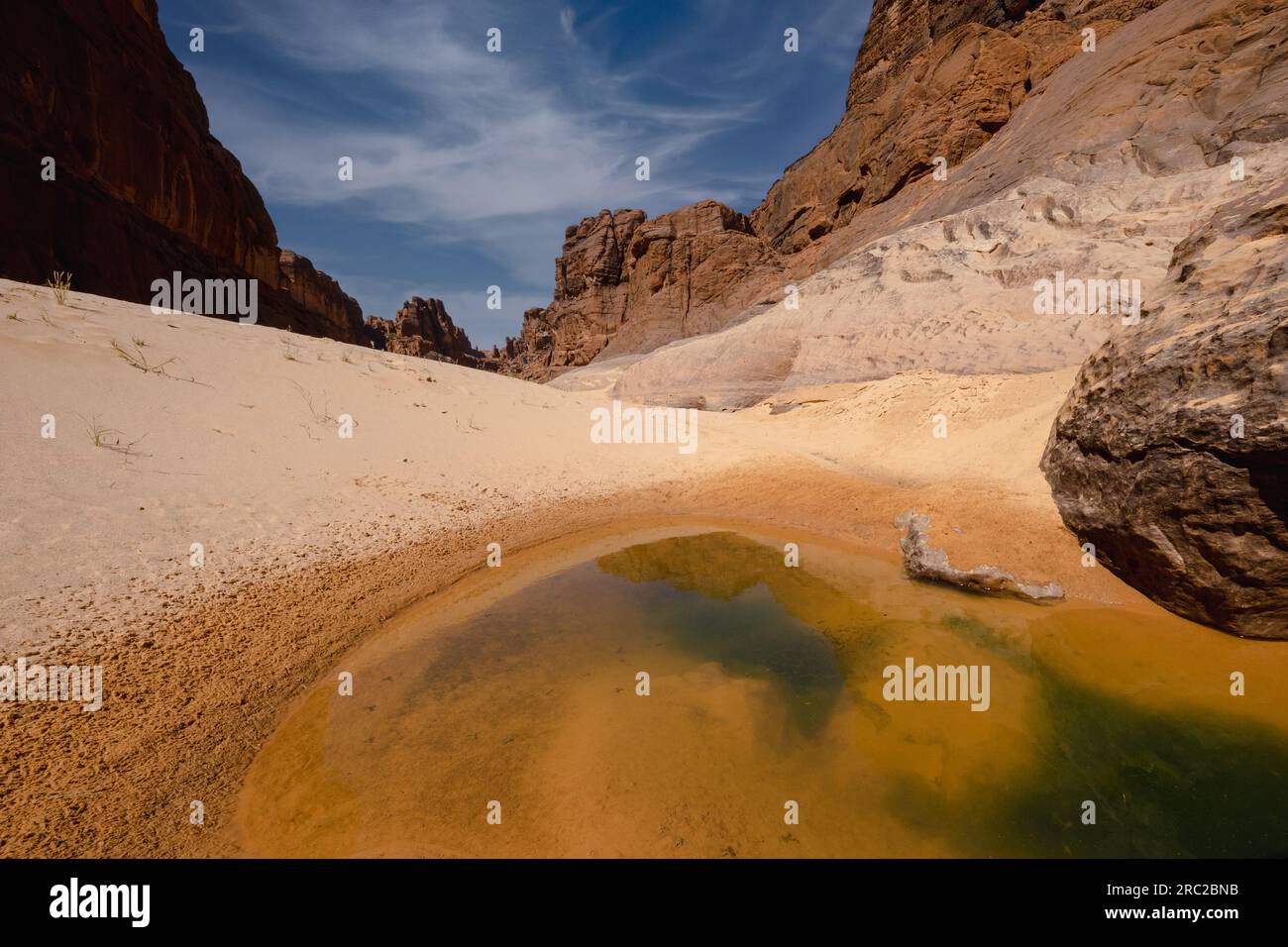 Tra le vaste distese dei canyon desertici del Ciad, una rara piscina di acque sotterranee, un faro di vita tra gli aridi paesaggi sabbiosi Foto Stock