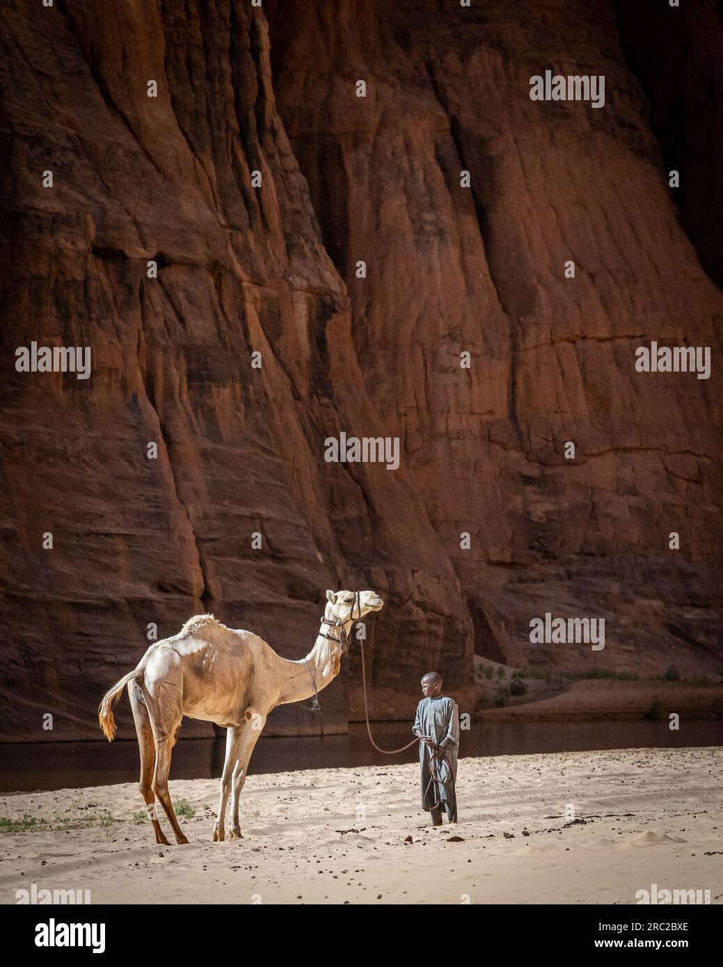 Sullo sfondo mozzafiato del canyon Guelta d'Archei, un giovane ragazzo assume il ruolo di custode di cammelli Foto Stock