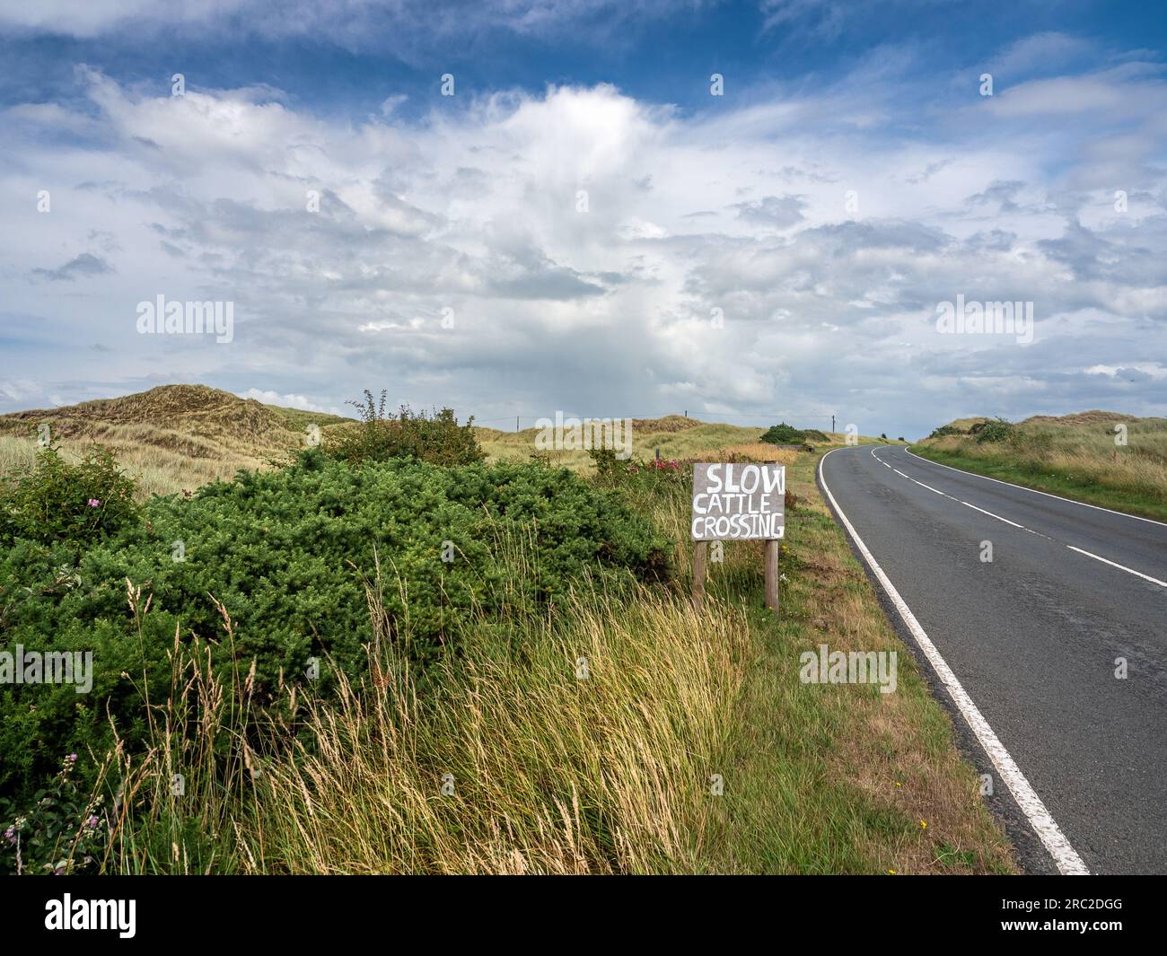 Una tranquilla strada rurale vicino ad Aberffraw, Anglesey, Galles Foto Stock