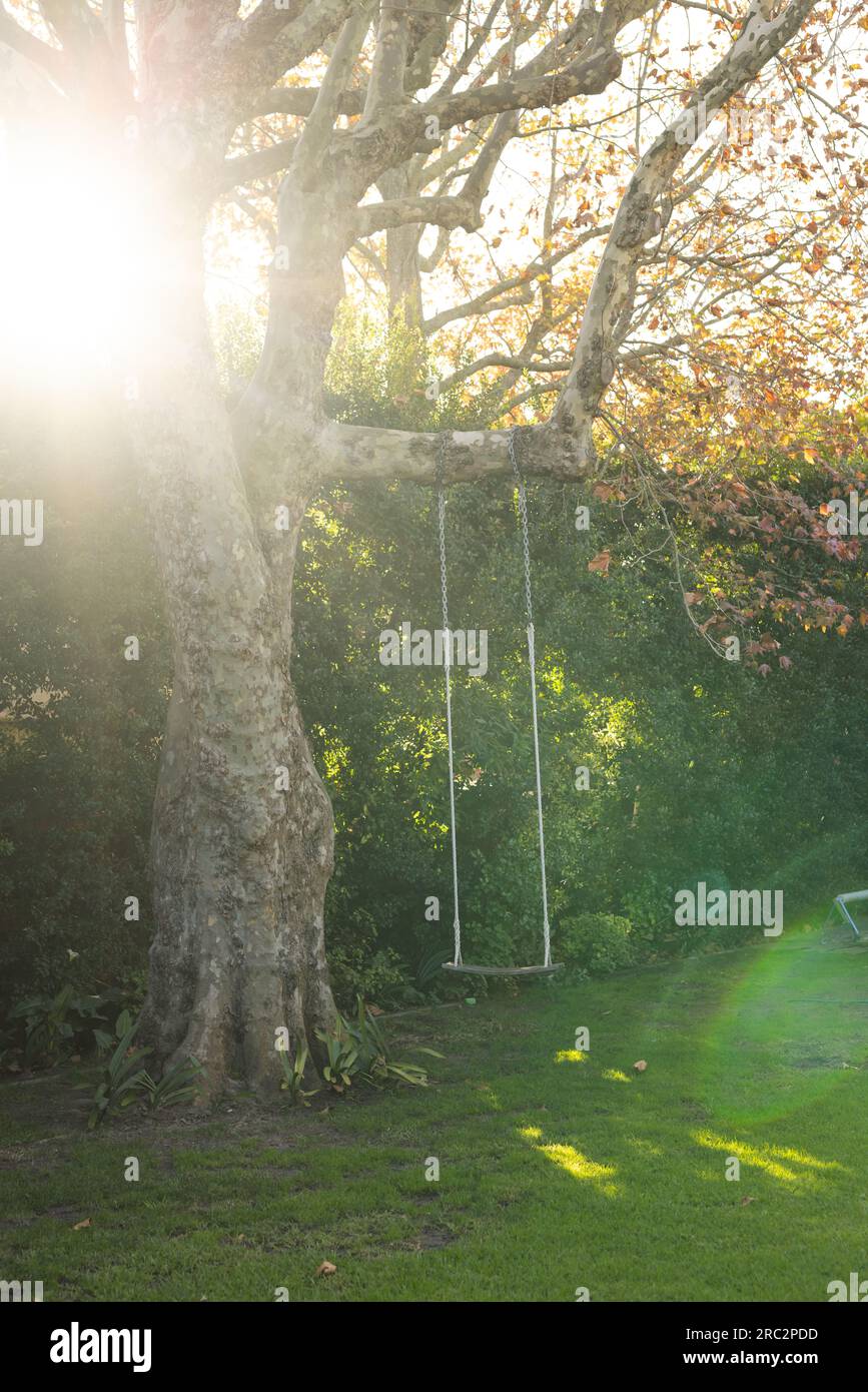 Altalena appesa a un albero nel verde giardino nelle giornate di sole Foto Stock