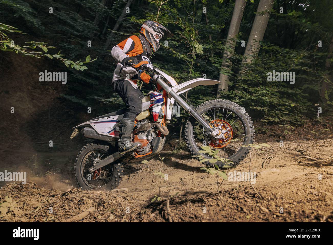 Motociclisti che arrampicano sulle montagne attraverso la bellissima foresta. Concetto di sport estremo Foto Stock