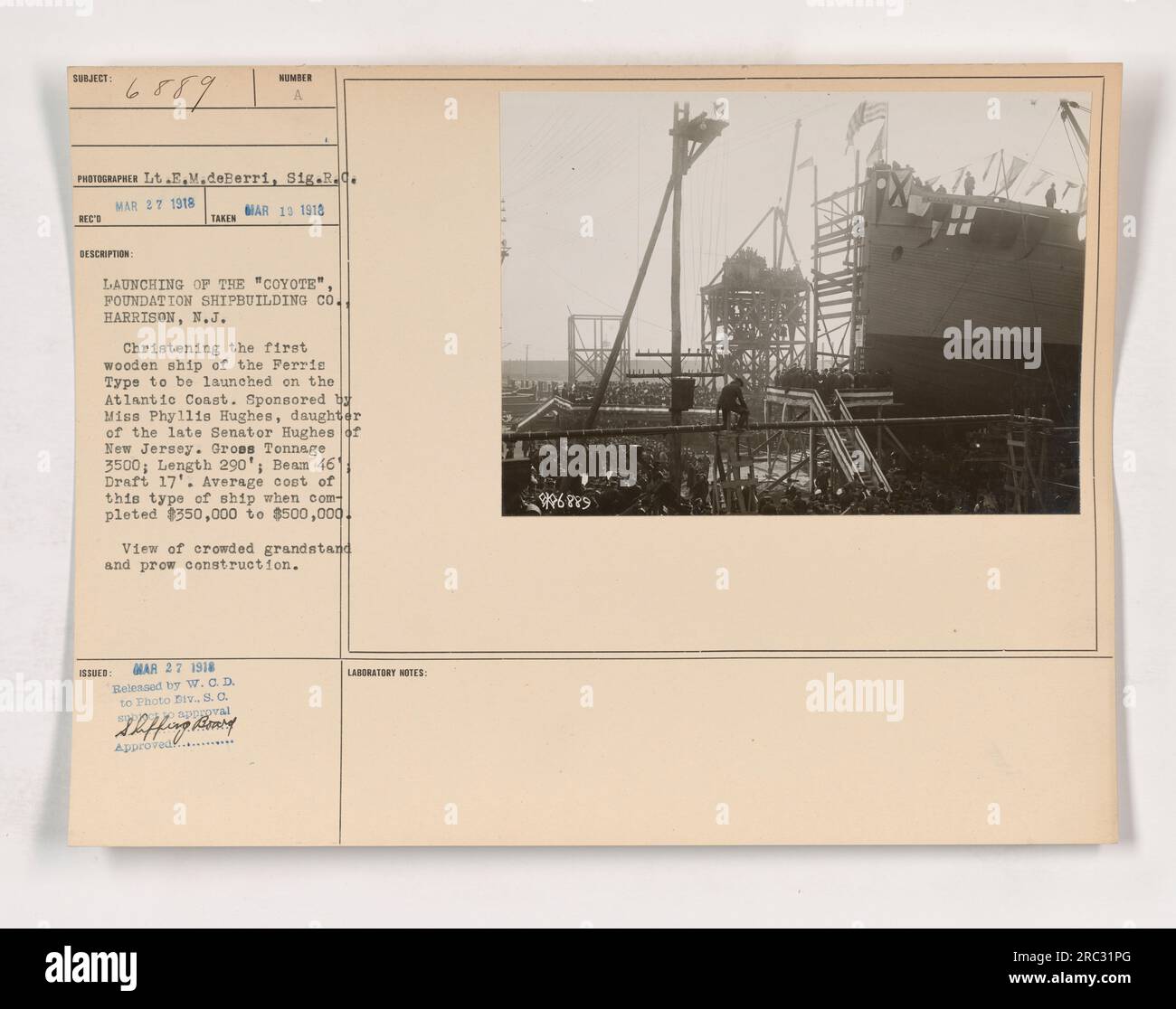 Coyote fondazione cantieristica co immagini e fotografie stock ad alta  risoluzione - Alamy