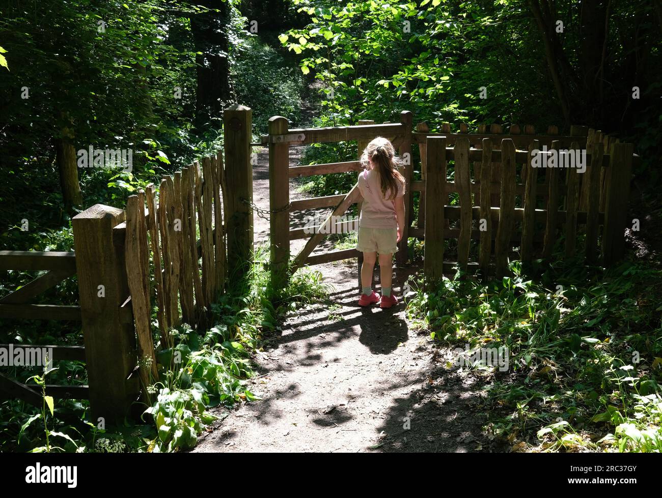 Bambino piccolo che apre un cancello per baciare nel bosco in Gran Bretagna, Regno Unito Foto Stock