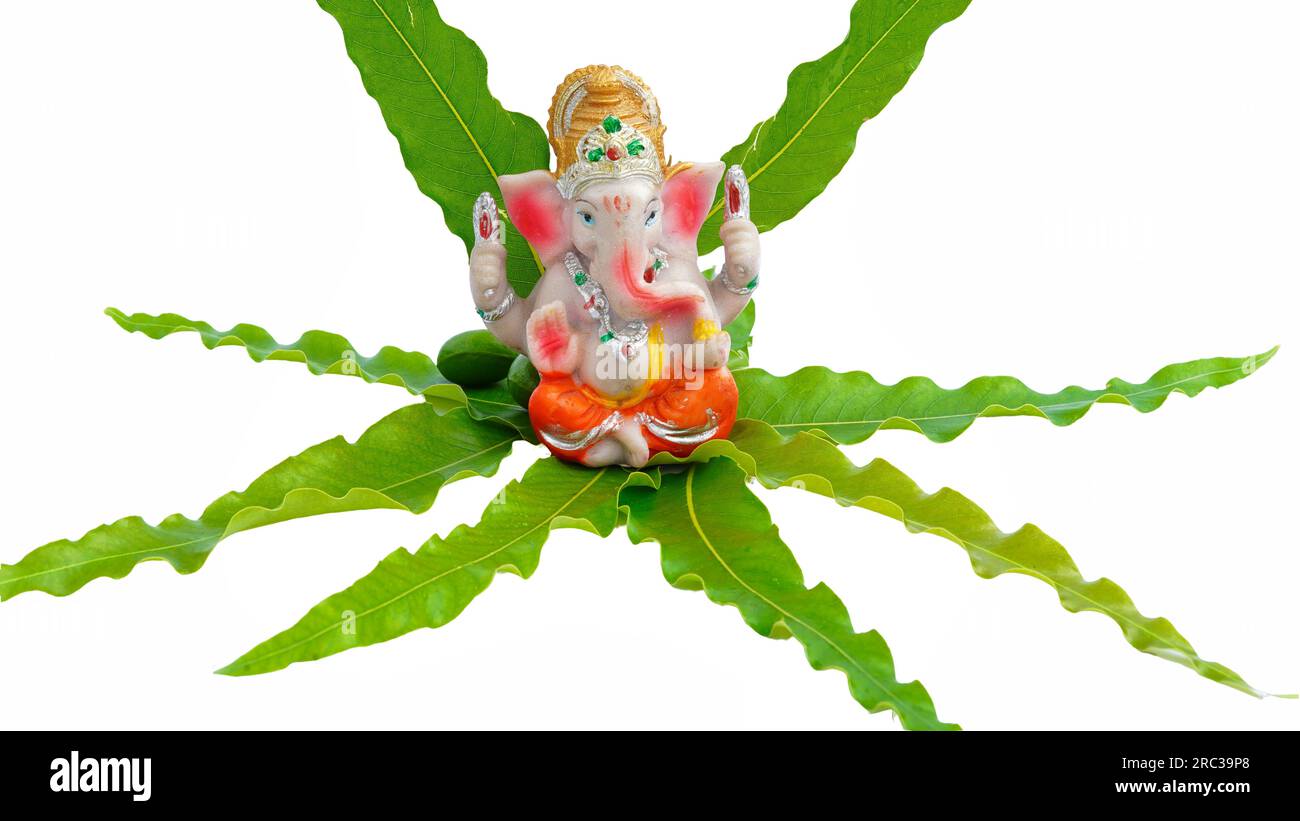 Idolo di Lord ganesha posto su una foglia verde fresca di ashoka o Saraca asoca con sfondo bianco Foto Stock