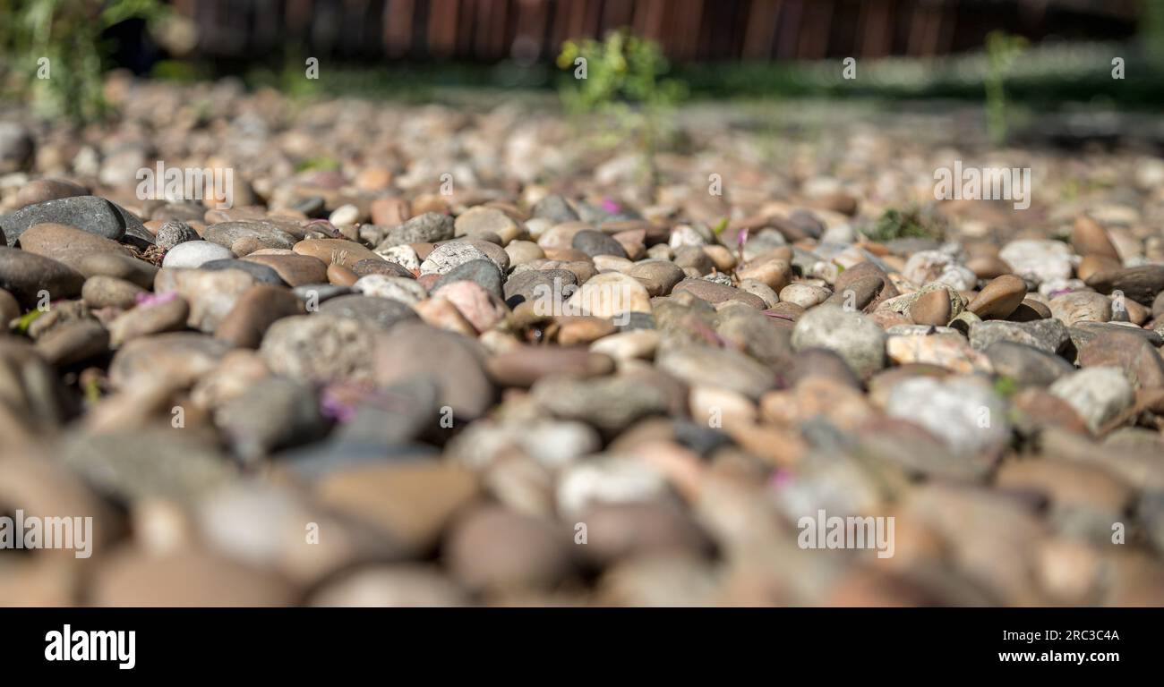 Grande quantità di pietre di ciottoli sparse sul pavimento. Pietra decorativa ampiamente utilizzata negli ornamenti esterni. Messa a fuoco selettiva, piccola profondità di campo. Foto Stock