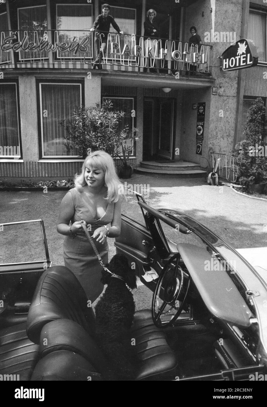 Turismo, turisti, giovani donne che arrivano a Edelweiss Parkhotel, Monaco di Baviera, anni '1960, ULTERIORI-DIRITTI-CLEARANCE-INFO-NOT-AVAILABLE Foto Stock