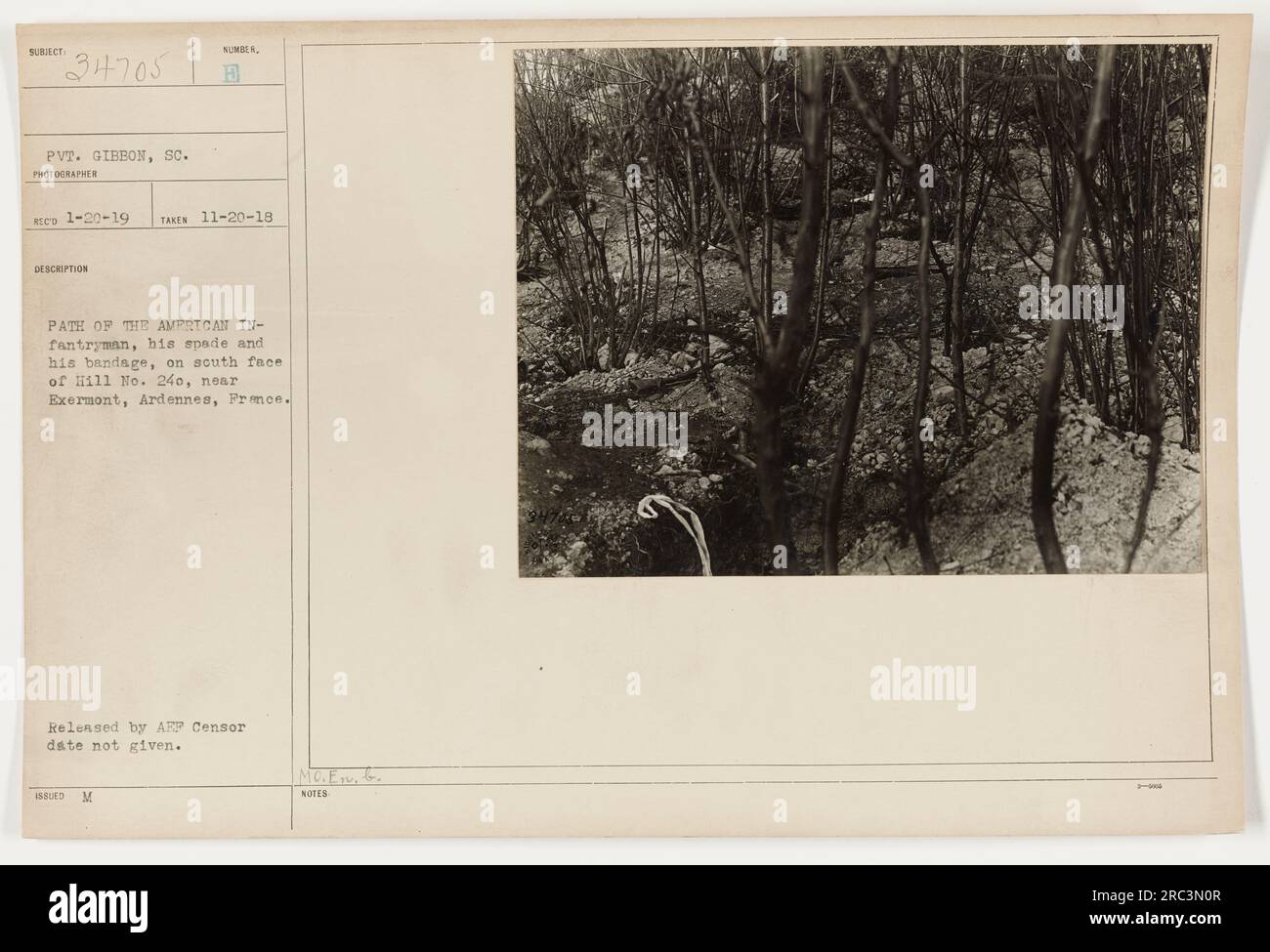 In questa foto, scattata il 20 novembre 1918, il soldato Gibbon della Carolina del Sud è visto tra le conseguenze della battaglia nelle Ardenne. L'immagine raffigura un percorso con un fitto sottobosco, un terreno roccioso e oggetti scartati, tra cui una benda, un fucile e uno strumento di trincea. La fotografia illustra le sfide affrontate dai fanti durante la prima guerra mondiale. Foto Stock