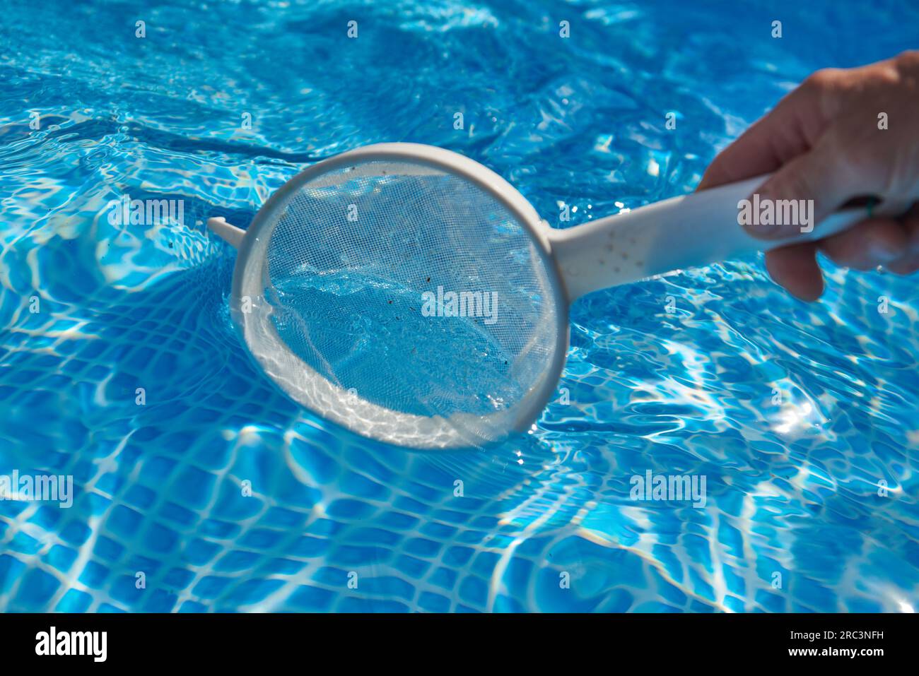 Pulire la piscina di casa da piccoli insetti Foto Stock