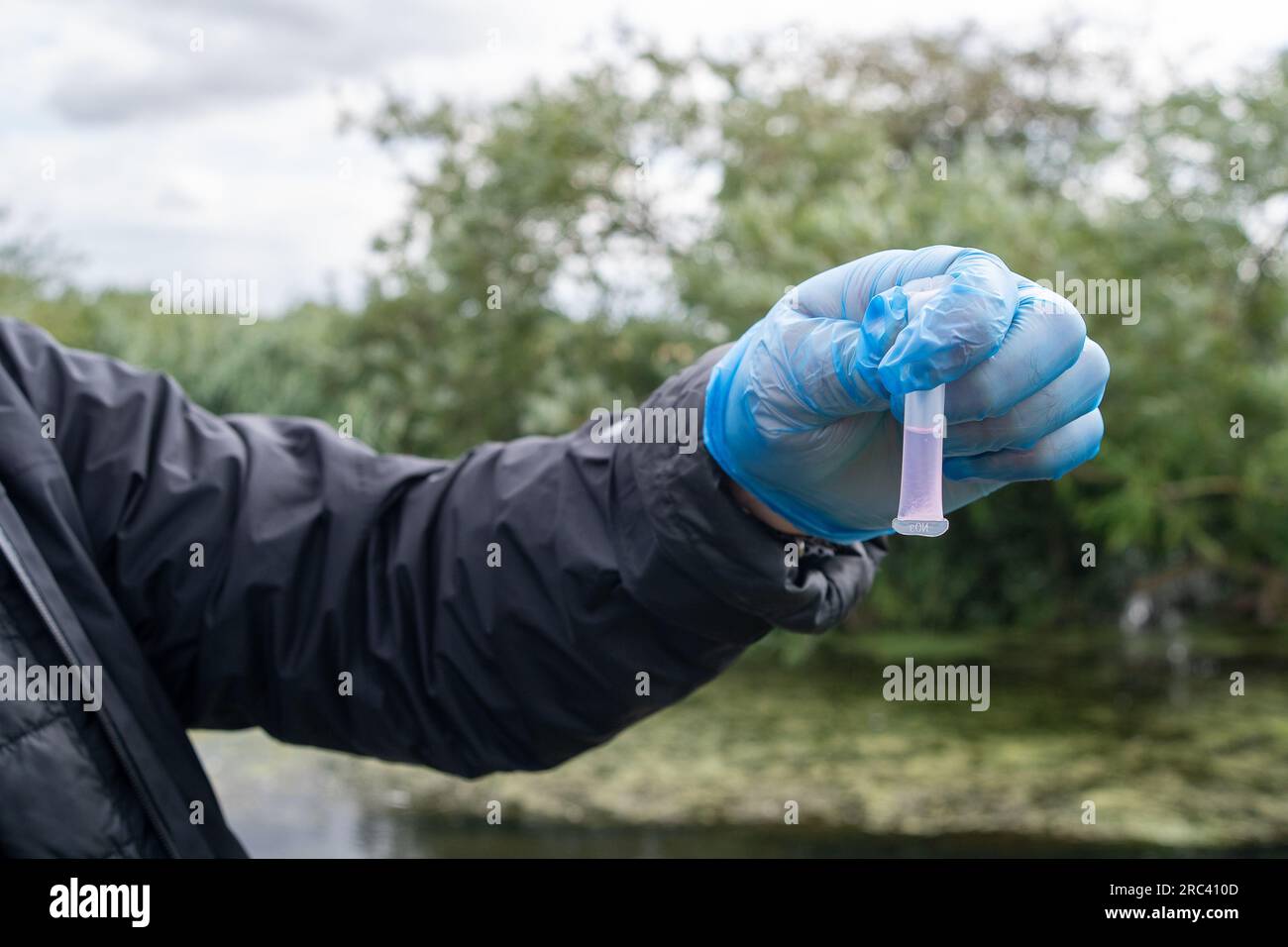 Dorney, Regno Unito. 12 luglio 2023. I cittadini scienziati Dave e Jacqui Wallace, che lavorano per conto dell'Henley River Action Group, oggi stavano effettuando test sui livelli di inquinamento idrico a Roundmoor Ditch a Dorney Common, nel Buckinghamshire, utilizzando le apparecchiature di test fornite da Earthwatch Europe. Il Thames Water Event Duration Monitoring (EDM) mostra che l'acqua del Tamigi è stata scaricata nel Roundmoor Ditch dai vicini impianti di trattamento delle acque reflue del Thames Water Slough; tuttavia, l'ultimo scarico EDM è stato registrato il 21 gennaio 2023. I risultati dei test di oggi sull'acqua nuvolosa a Roundmoor Ditch hanno trovato entrambi Foto Stock