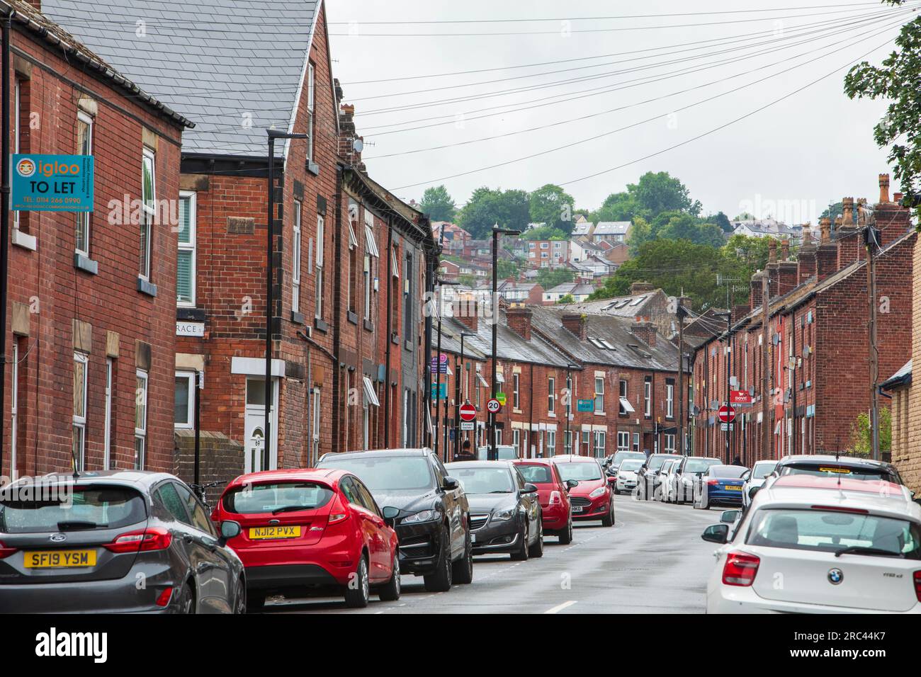 Housing in Ecclesall, che si rivolge principalmente alle popolazioni studentesche intorno al Collegiate Crescent, sito della Sheffield Hallam University, Sheffield. Foto Stock