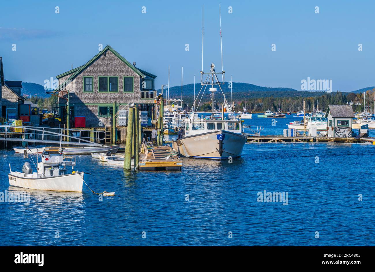 Colore autunnale a Mount Desert Island nel Maine. Foto Stock