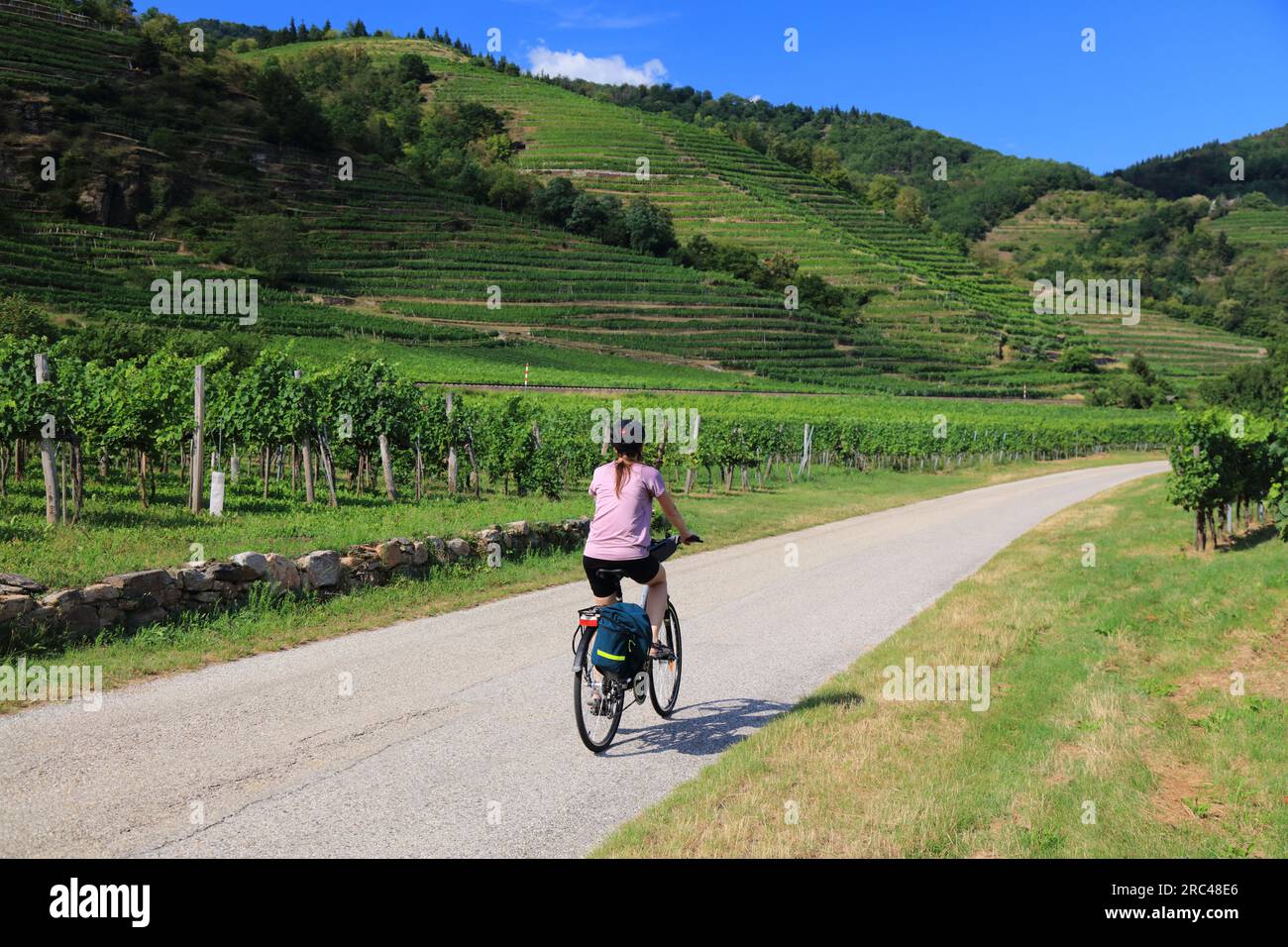 Pista ciclabile del Danubio (Donauradweg) nella regione di Wachau. Percorso ciclabile a lunga distanza in Austria. Ciclista donna tra i vigneti. Foto Stock