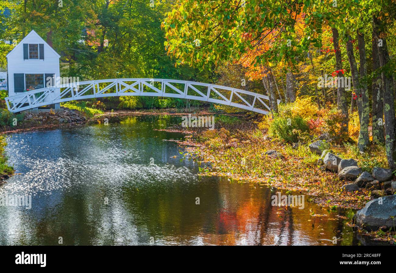 Colore autunnale a Mount Desert Island nel Maine. Foto Stock