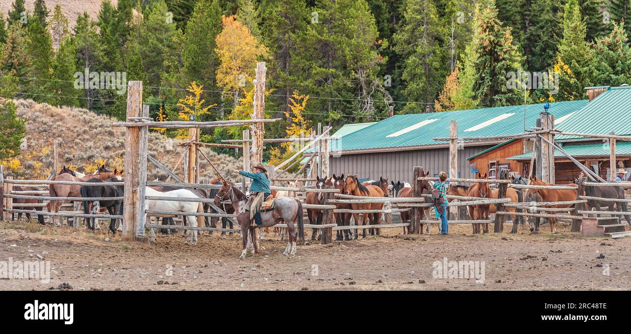 Triangle X Ranch, ranch per uomini e ospiti, nel Grand Tetons National Park, Wyoming. Foto Stock Triangle X Ranch, ranch per uomini e ospiti, nel Grand Tetons National Park, Wyoming. Foto Stock