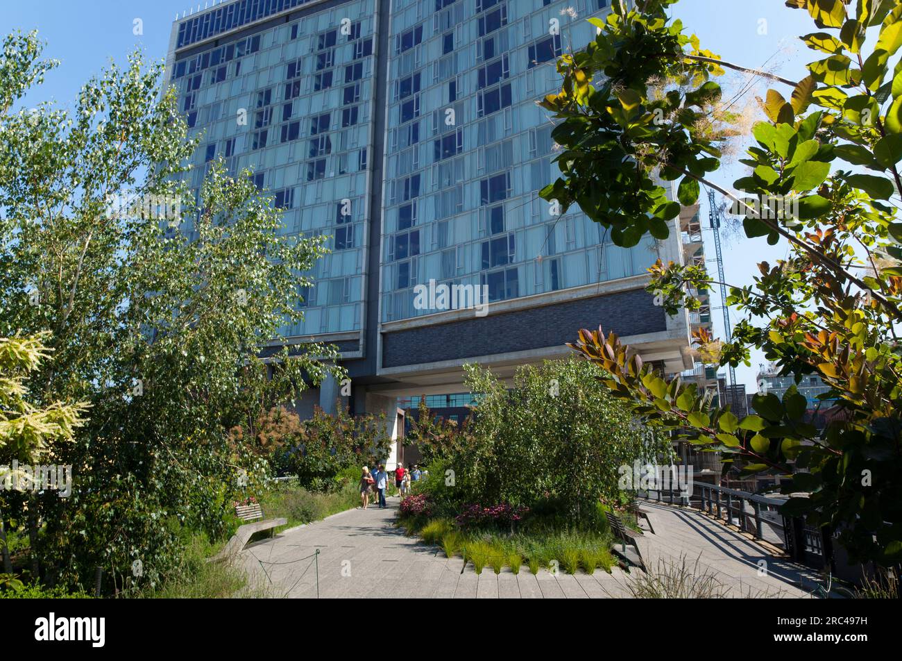 USA, Stato di New York, New York City, Manhattan, il parco pubblico High Line su binari ferroviari sopraelevati in disuso nel quartiere del confezionamento della carne. USA, New York Foto Stock