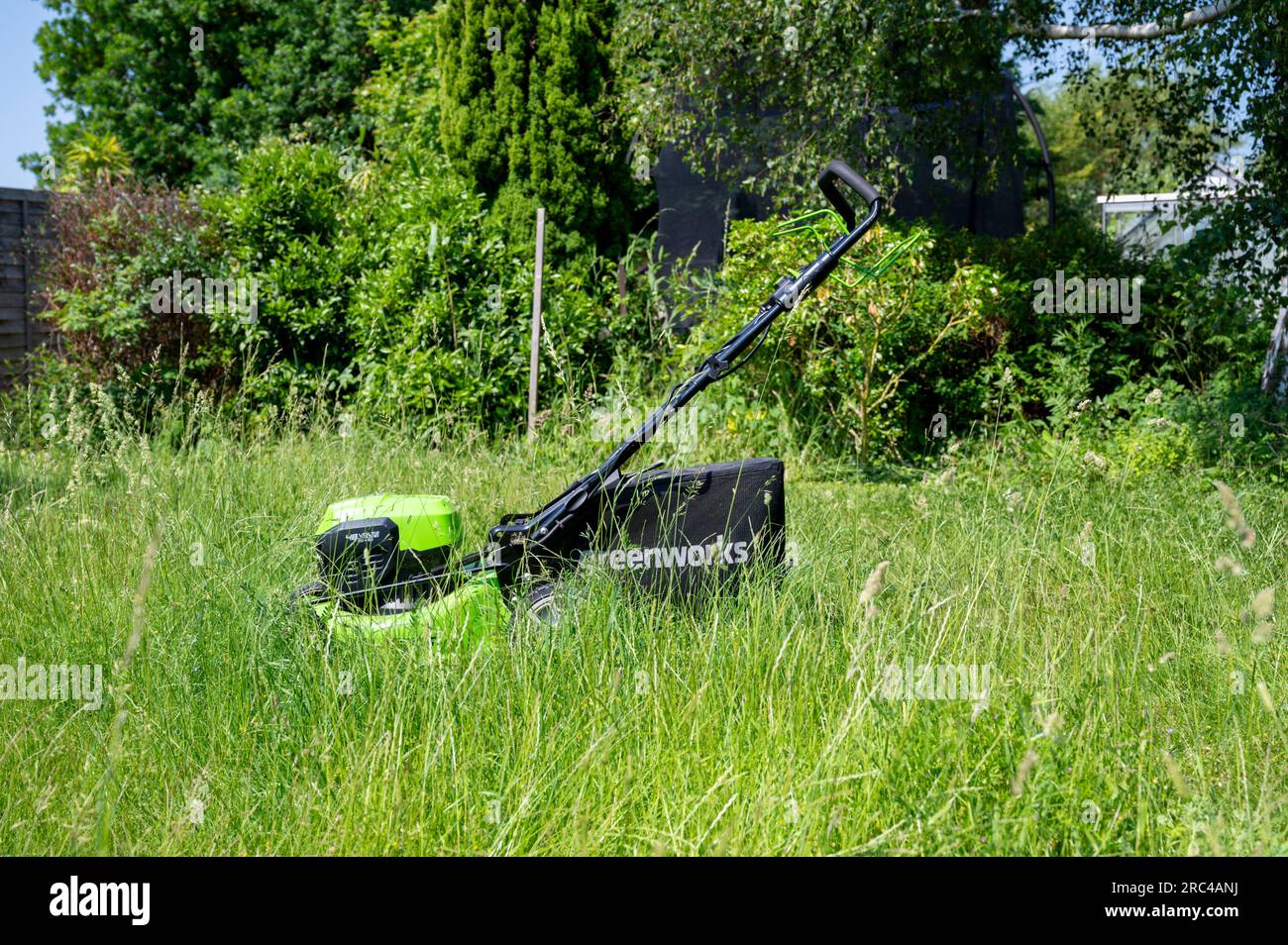 Un rasaerba Greenworks che taglia un prato in erba dopo che non è stato tagliato può quando l'erba è lunga. Foto Stock