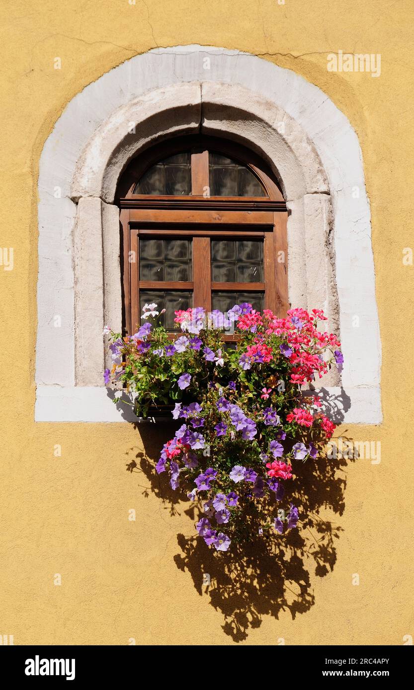 L'Italia, Trentino Alto Adige, Cavalese, finestra Dettaglio. Foto Stock