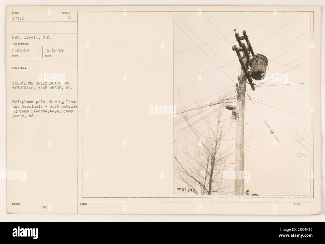 Infrastruttura elephone a Camp Meade, MD, catturata in questa foto. L'immagine mostra un palo telefonico con linee e terminali che forniscono servizi di comunicazione all'esterno della sede centrale del campo a Camp Meade, MD. Foto scattata il 18 febbraio 1919 dal sergente Tyrell. Foto Stock