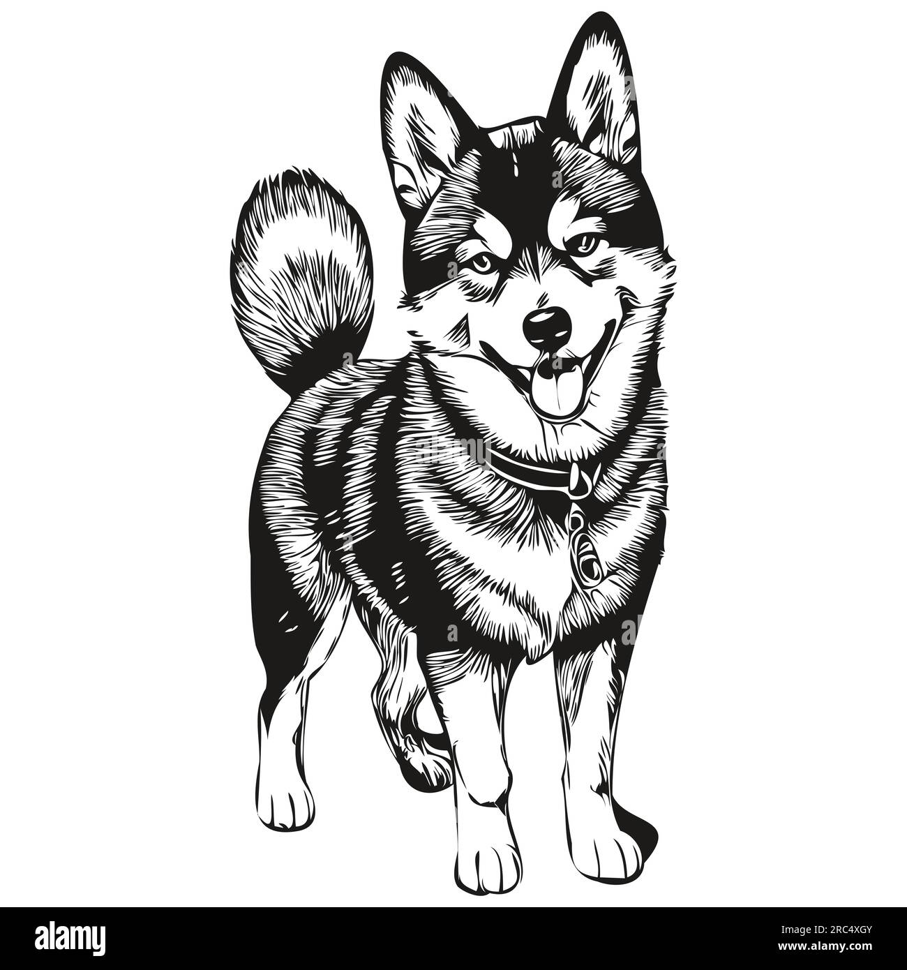 Illustrazione dello schizzo di Shiba Inu Dog PET, vettore di incisione in bianco e nero Illustrazione Vettoriale