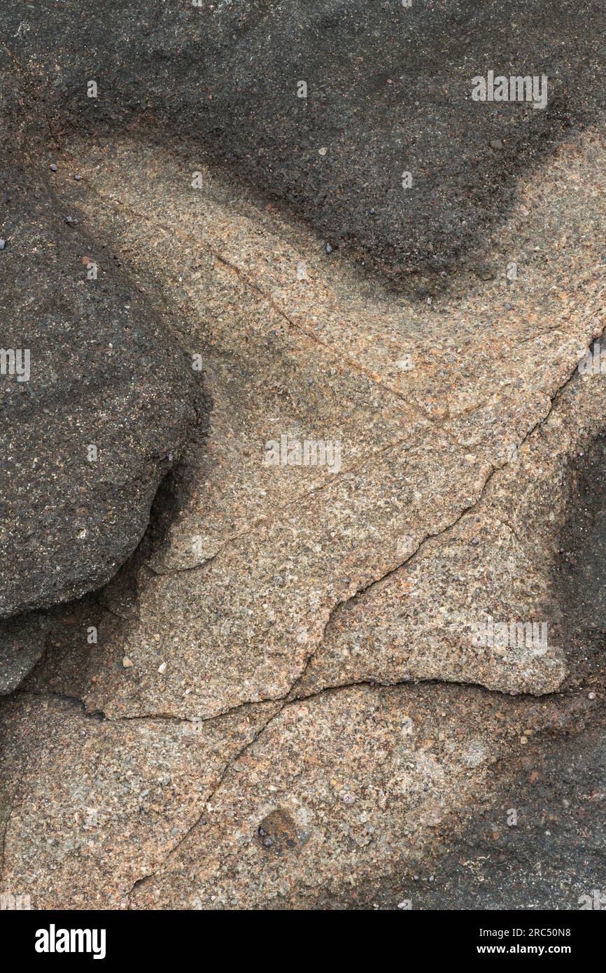Primo piano del "basalto Yachats" sulla costa dell'Oregon; derivato da antichi flussi di lava durante il tardo Eocene Foto Stock