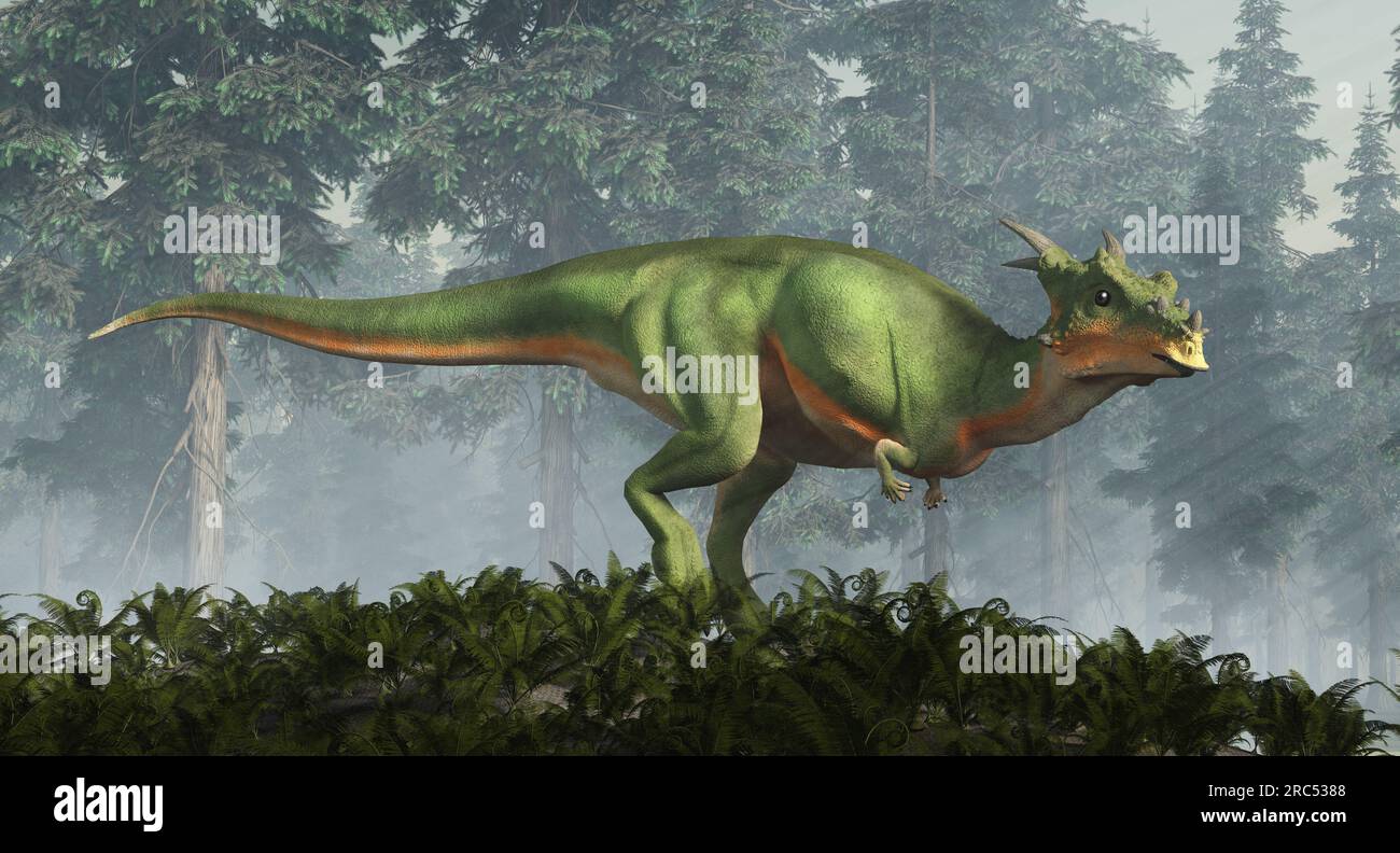 Dracorex è un genere di dinosauro pachycephalosauride vissuto in Nord America durante il Cretaceo superiore. Foto Stock