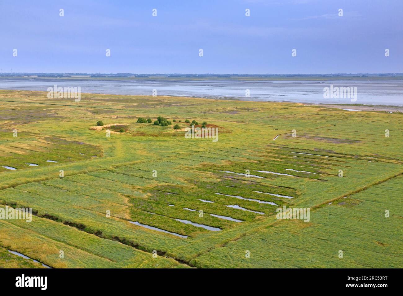Vista aerea sulla palude salata/palude salmastre e la pianura fangosa in estate, il parco nazionale del Mare di Wadden, la Frisia settentrionale/Nordfriesland, lo Schleswig-Holstein, la Germania Foto Stock