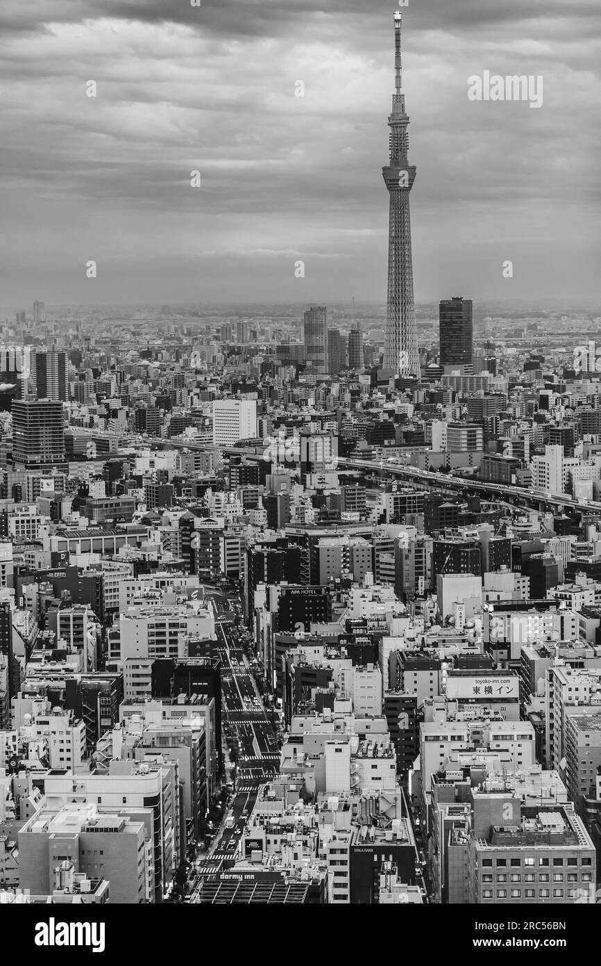 Vista aerea di Tokyo Skytree Foto Stock