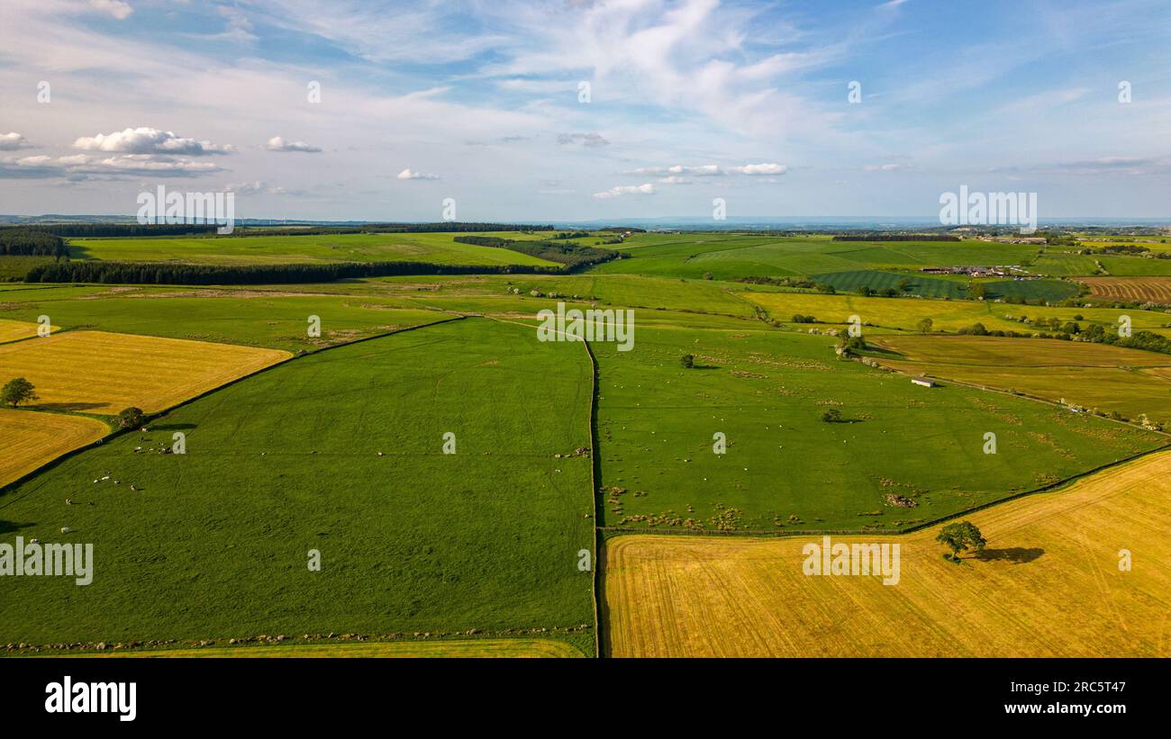 Foto aerea unica della natura dello Yorkshire Dales durante l'estate Foto Stock