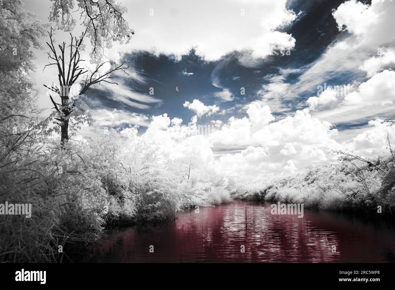 Per lo più fotografia in bianco e nero di un ruscello con un albero morto in piedi sulla riva. Blue Sky, acqua rossa. Una luna a mezzaluna è visibile in un'apertura. Foto Stock