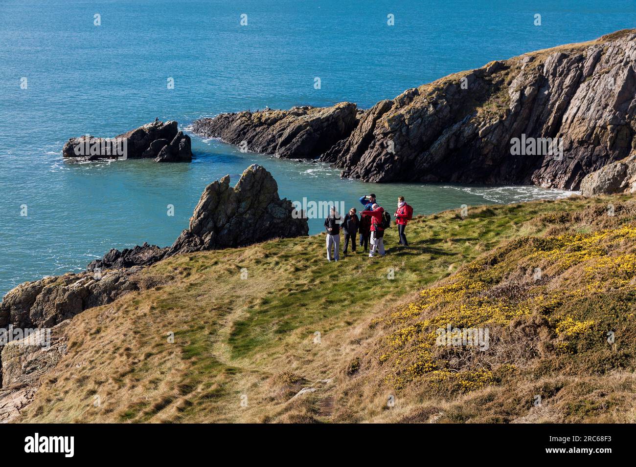 Howth, Irlanda, The Cliff Path Foto Stock