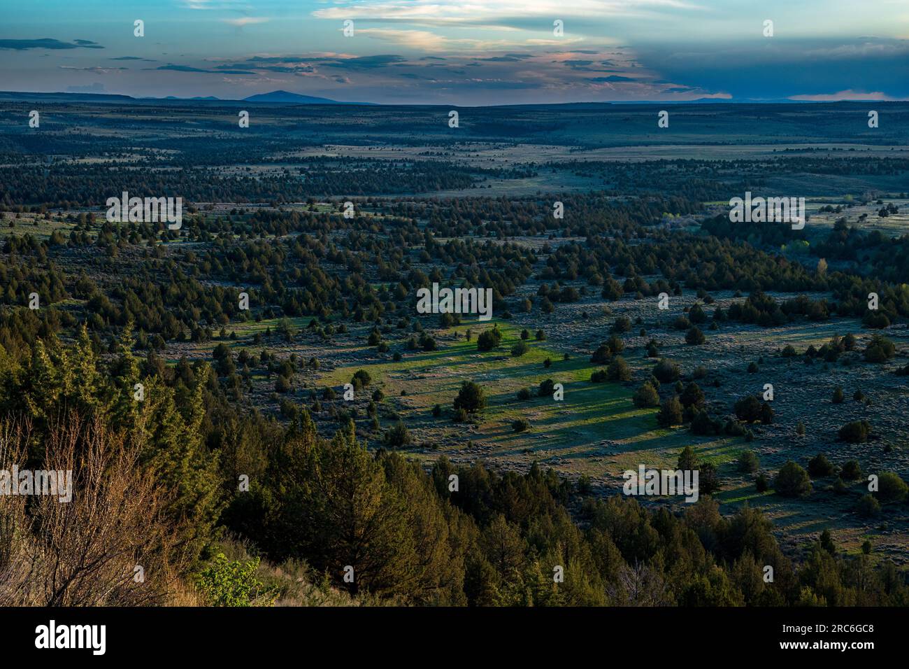 Questa è la vista dell'area di studio South Donner und Blitzen Wilderness da una posizione leggermente sopra l'entrata nella Steens Mountain Little Blitzen R. Foto Stock